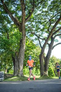 BIB: 
                            <button type="button" onclick="openModal(26545970)" class="btn btn-primary btn-sm float-right btn-popup" data-toggle="modal" data-target=".modal-high-quality">
                        <i class="fas fa-shopping-cart"></i> Add to Cart
                    </button>
                                            <button type="button" onclick="isThisMe(26545970, true)" class="btn btn-success btn-sm float-right btn-popup btn-isme hidden" data-toggle="tooltip" data-placement="bottom" title="นี่คือรูปของคุณใช่ไหม คลิกที่นี่เพื่อเอาเข้าอัลบั้ม">
                        <i class="fas fa-plus"></i> Add to album
                    </button>
                    <button type="button" onclick="isThisMe(26545970, false)" class="btn btn-warning btn-sm float-right btn-popup btn-isnotme hidden">
                        <i class="fas fa-ban"></i> Remove from album
                    </button>